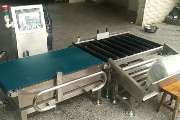 50KG滾筒式稱(chēng)重機(jī)自動(dòng)稱(chēng)重剔除測(cè)試